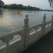 湛卢同志的个人资料头像