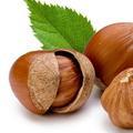 NUT锅锅头像