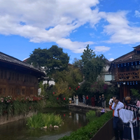 兔子与虫子头像