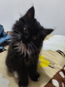 用户175441273955的个人资料头像