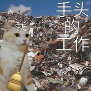 丿鹰的个人资料头像