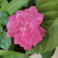 潮流达人杰斯3f8头像