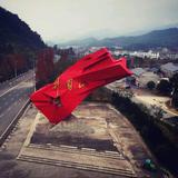 Robin龙头像
