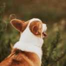 820的个人资料头像