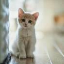 乌拉乌拉乌的个人资料头像