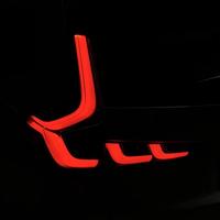 放风筝的鱼儿头像