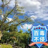 喔喔喔奶糖生姜头像