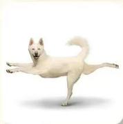 磐石公主的个人资料头像