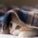 逆溯的个人资料头像