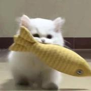 JamesMoriartyZ的个人资料头像