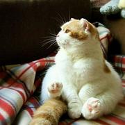 mekr的个人资料头像