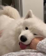 极光以南的个人资料头像