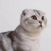 372262的个人资料头像