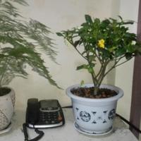 时间都去那儿了头像