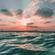 WGFY的个人资料头像