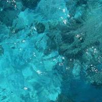 渣渣的夜风头像