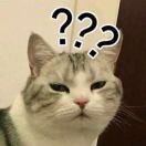 D1srespect的个人资料头像