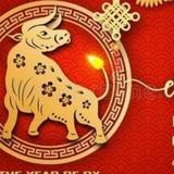 8693701头像