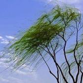 写诗425头像