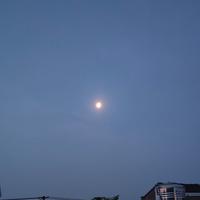 海角的星星哦头像
