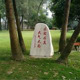 家园圆头像