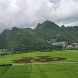 进取湖泊yr头像