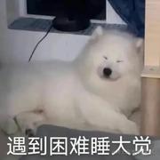 困死嘞的个人资料头像