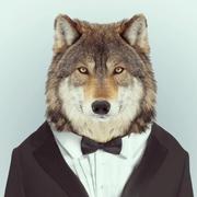 wasd988的个人资料头像