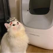 不想吃羊肉的个人资料头像