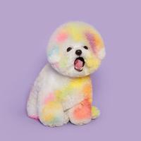 萬事顺意971头像