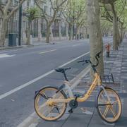 拿了橘子跑啊D的个人资料头像