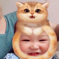 阳阳爸爸936头像