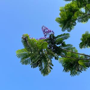 不怕失败的蜗牛头像