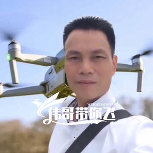 伟哥带你飞V头像