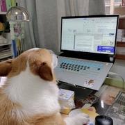 Iamsure的个人资料头像