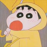 hshshs486头像