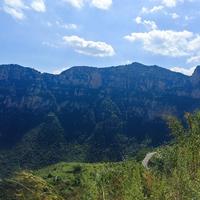 博学菠萝4DJ头像