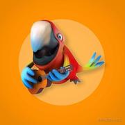 小煤渣的个人资料头像