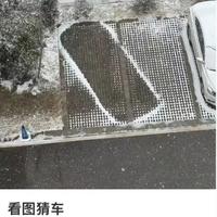 鸽鸽的鸡脚头像