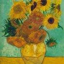 风随心动的个人资料头像