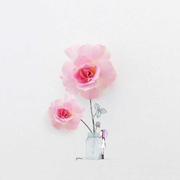 狂奔的小彩泡的个人资料头像