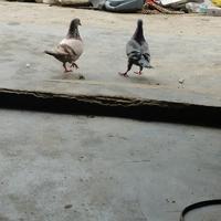 用户2349994312282头像