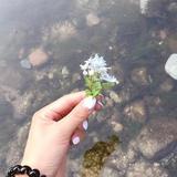 双份阳光☀️头像