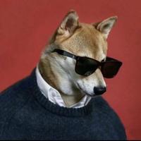 多彩光束pX头像