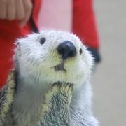 lifeafterlife的个人资料头像