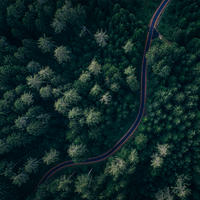 汽车知识报头像