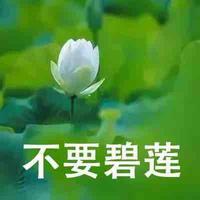 StormMu头像