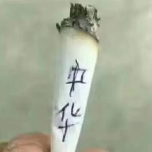 正在奋斗的我头像