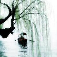 有色金属16头像