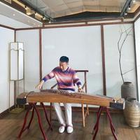 悠闲伊夫林9l2头像